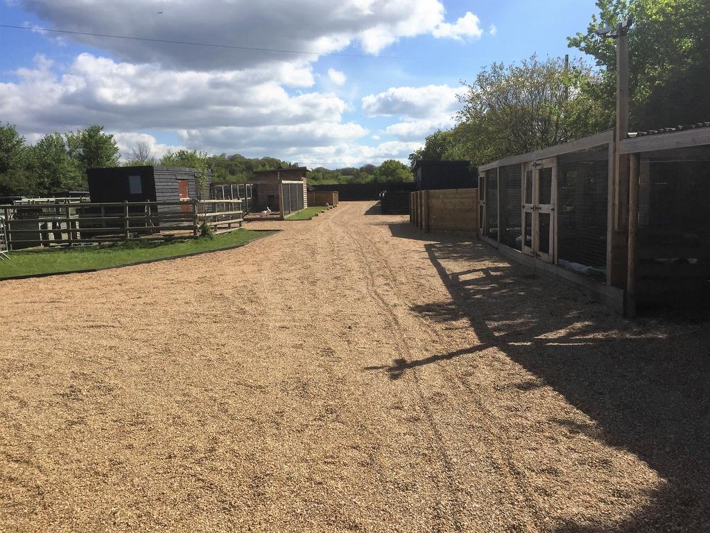 Willow Court Farm Studio South & Petting Farm, 8 Mins From Legoland & Windsor, 15 Mins From Lapland Uk Eksteriør billede
