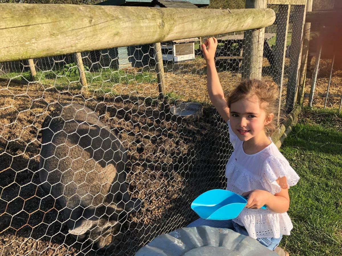Willow Court Farm Studio South & Petting Farm, 8 Mins From Legoland & Windsor, 15 Mins From Lapland Uk Eksteriør billede