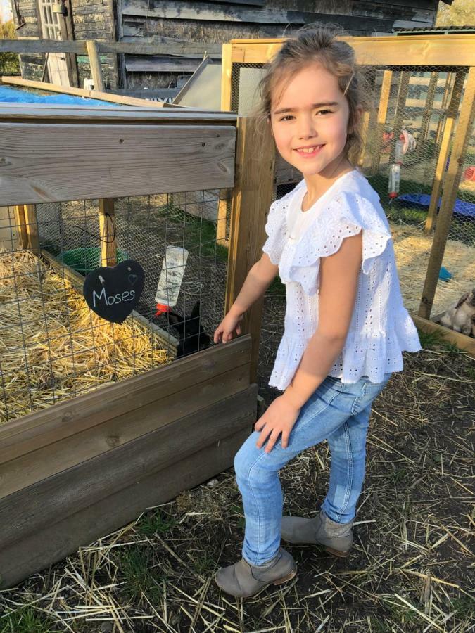 Willow Court Farm Studio South & Petting Farm, 8 Mins From Legoland & Windsor, 15 Mins From Lapland Uk Eksteriør billede