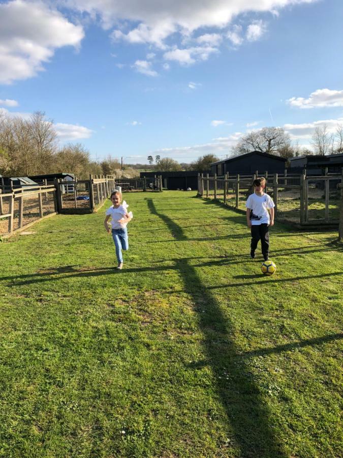 Willow Court Farm Studio South & Petting Farm, 8 Mins From Legoland & Windsor, 15 Mins From Lapland Uk Eksteriør billede